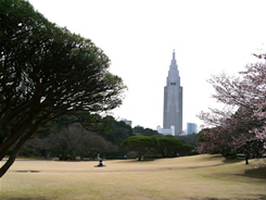 新宿御苑