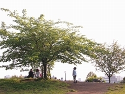 西郷山公園