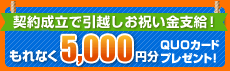 毎日1名様に1000円分（※QUOカード）があたる！